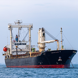 image of the gallery